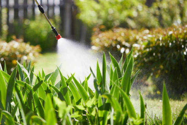 Tamper-Resistant Bait Stations for Rodents in Belwood