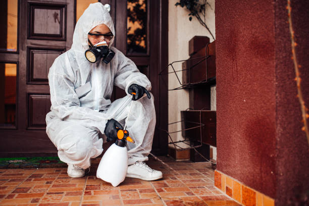 Attic and Crawl Space Rodent Treatment in Belwood